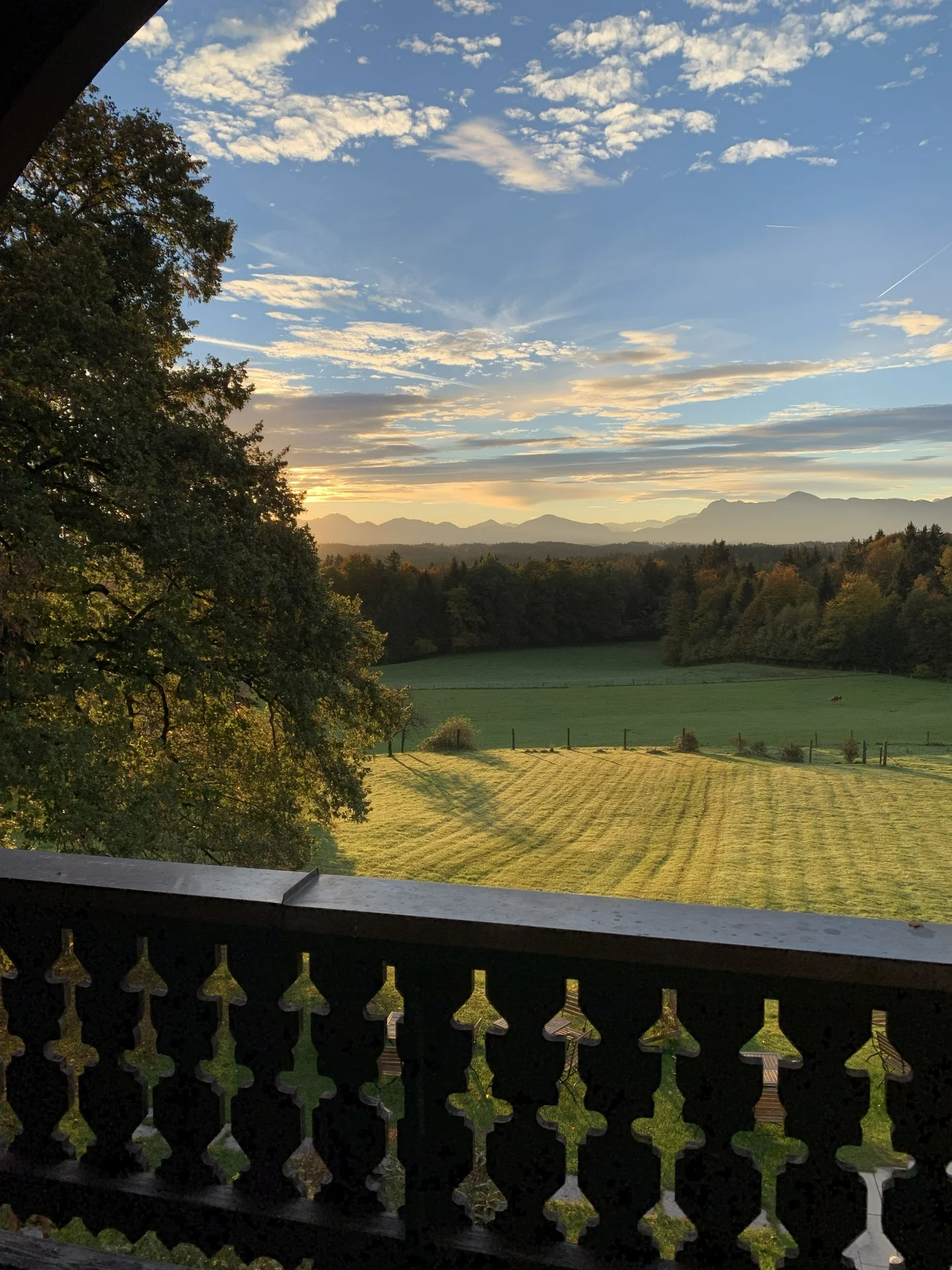 Bergblick vom Großen Apartment I