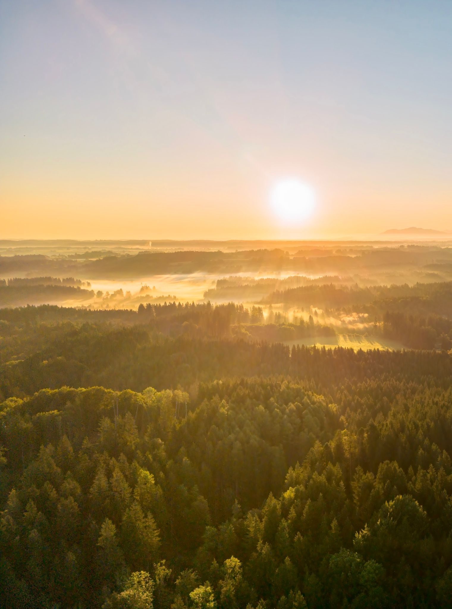 Sonnenaufgang über den Wäldern und Hügeln rund um Gut Rechetsberg