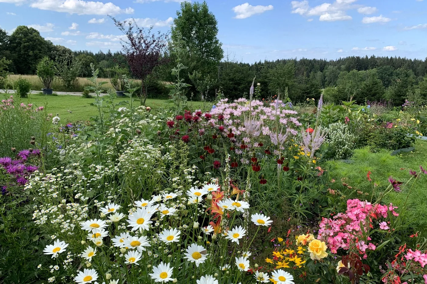Sommerliches Blumenbeet im Park