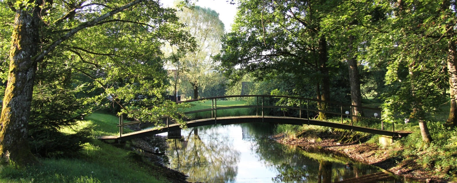 Brücke über Wasser im Park