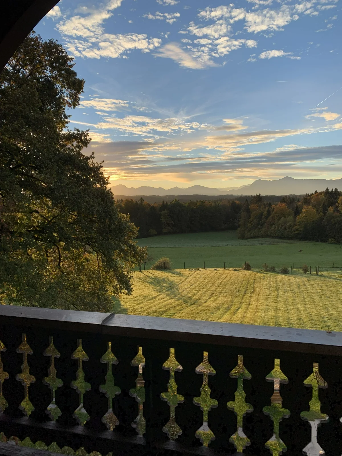 Bergblick über Wälder und Wiesen rund um Gut Rechetsberg