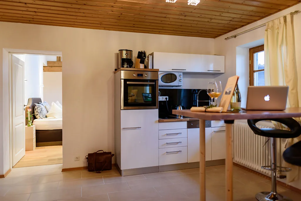 Küchenzeile des Kleinen Apartment II mit Backofen, Kochfeld, Mikrowelle und Frühstückstresen
